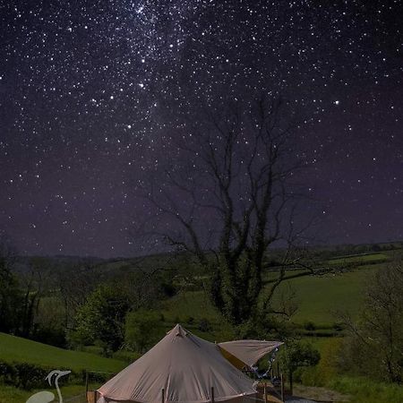 Herons Retreat Hotel Llandysul Bagian luar foto